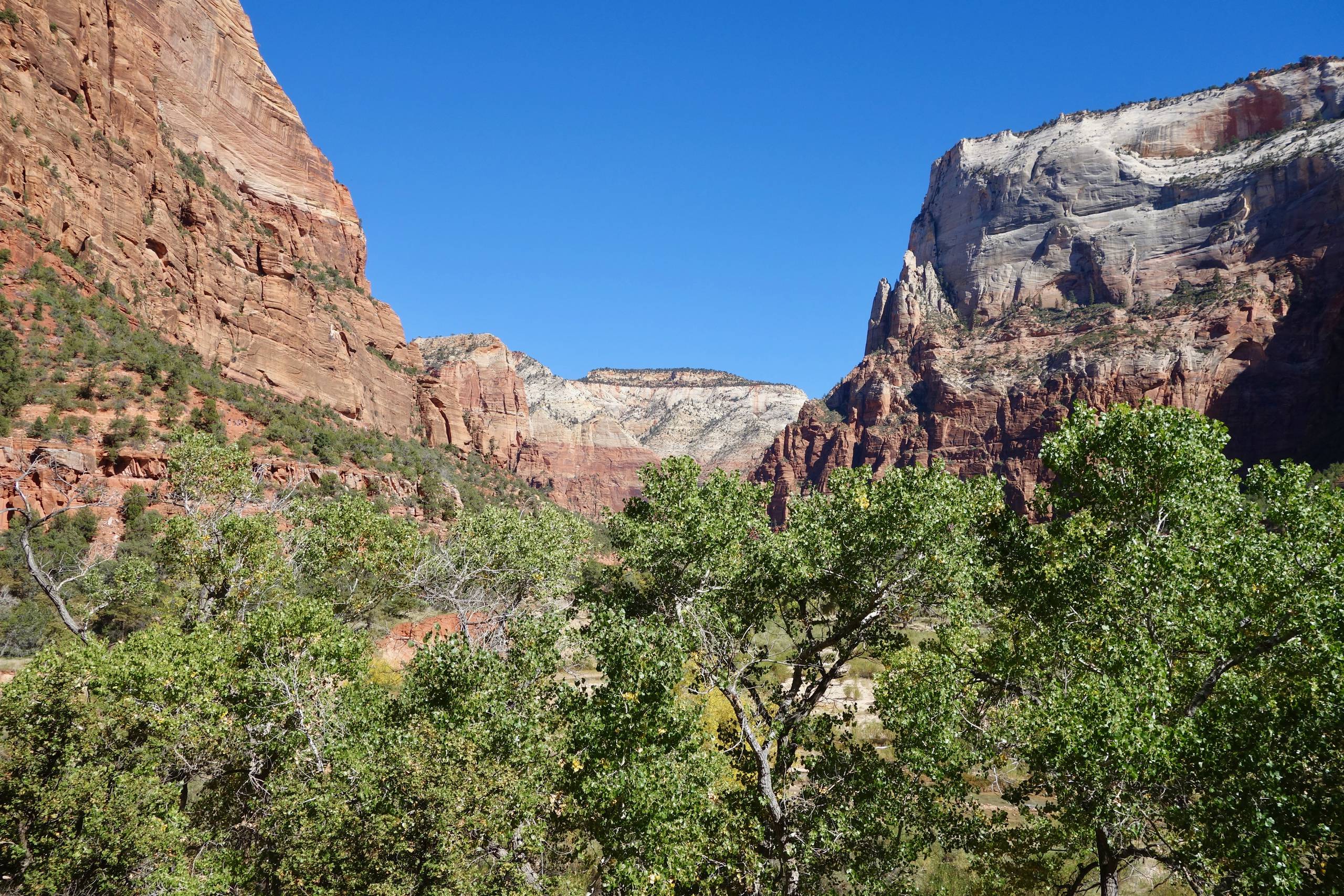 Zion National Park