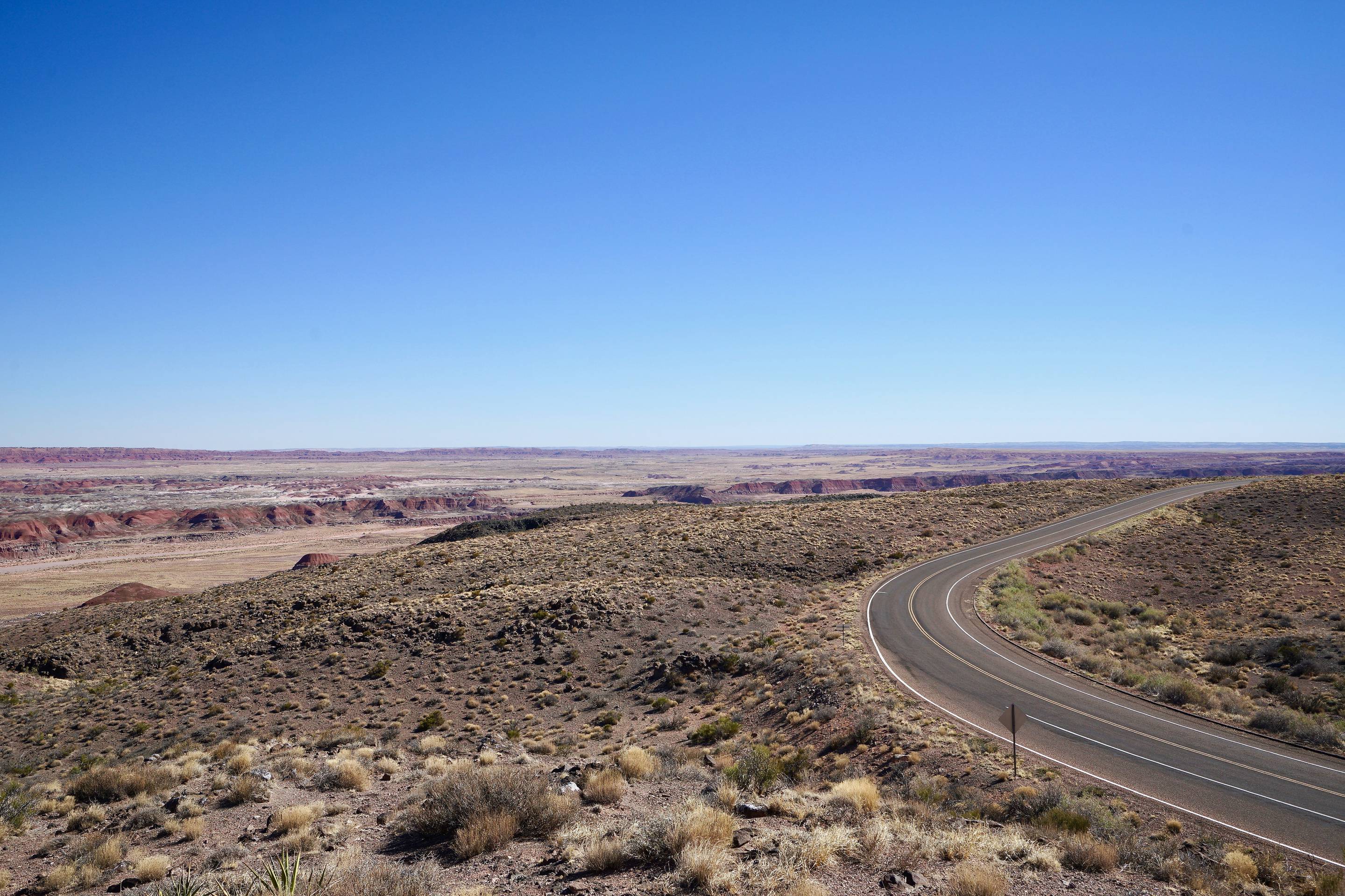 Petrified Forest National Park